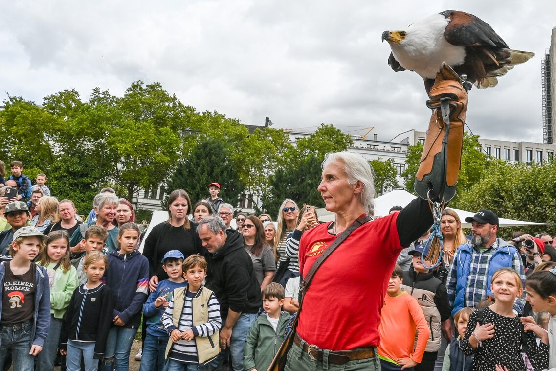 Römerfest Wiesbaden