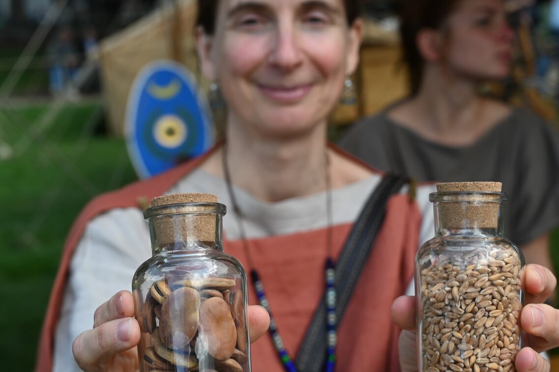 Römerfest Wiesbaden