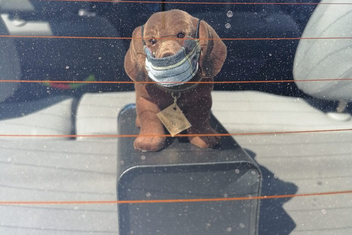 Ein Stofftierhund trägt eine Maske