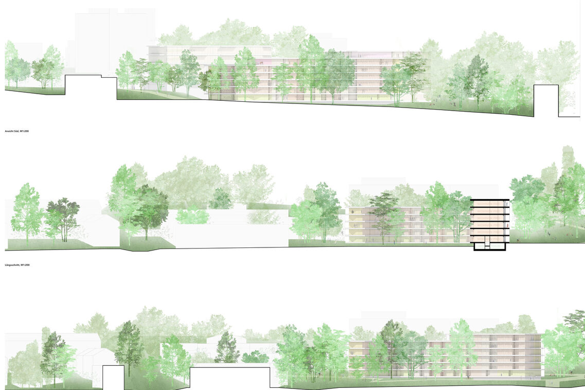 Verschiedene Darstellungen zum Plangebiet. Hier: drei Schnitte durch das Plangebiet, die die vorgeschlagene Bebauung aus verschiedenen Richtungen zeigen. Die Anzahl der Geschosse ist gut erkennbar. Es sind viele Bäume zu sehen.