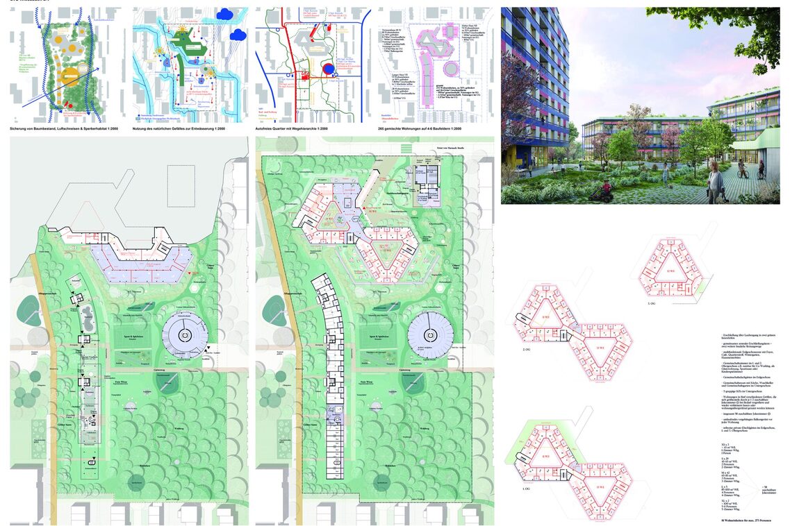 Verschiedene Darstellungen zum Plangebiet. Hier: eine fotorealistische Visualisierung, mehrere Grundrisszeichnungen und mehrere Schemazeichnungen zu verschiedenen Themen. Seitlich ein Textblock.