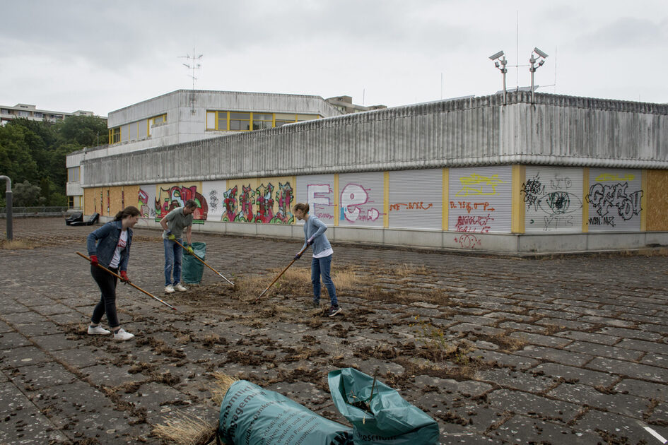 Drei Personen reinigen eine Fläche: Drei junge Erwachsene, zwei Frauen und ein Mann, harken eine große, verwahrloste gepflasterte Fläche mit Unkraut und Schmutz. Sie tragen Handschuhe und Arbeitskleidung. Im Hintergrund steht ein graues Gebäude mit vielen Graffiti an den Wänden und geschlossenen Fensterläden. Die Umgebung wirkt urban und verlassen.