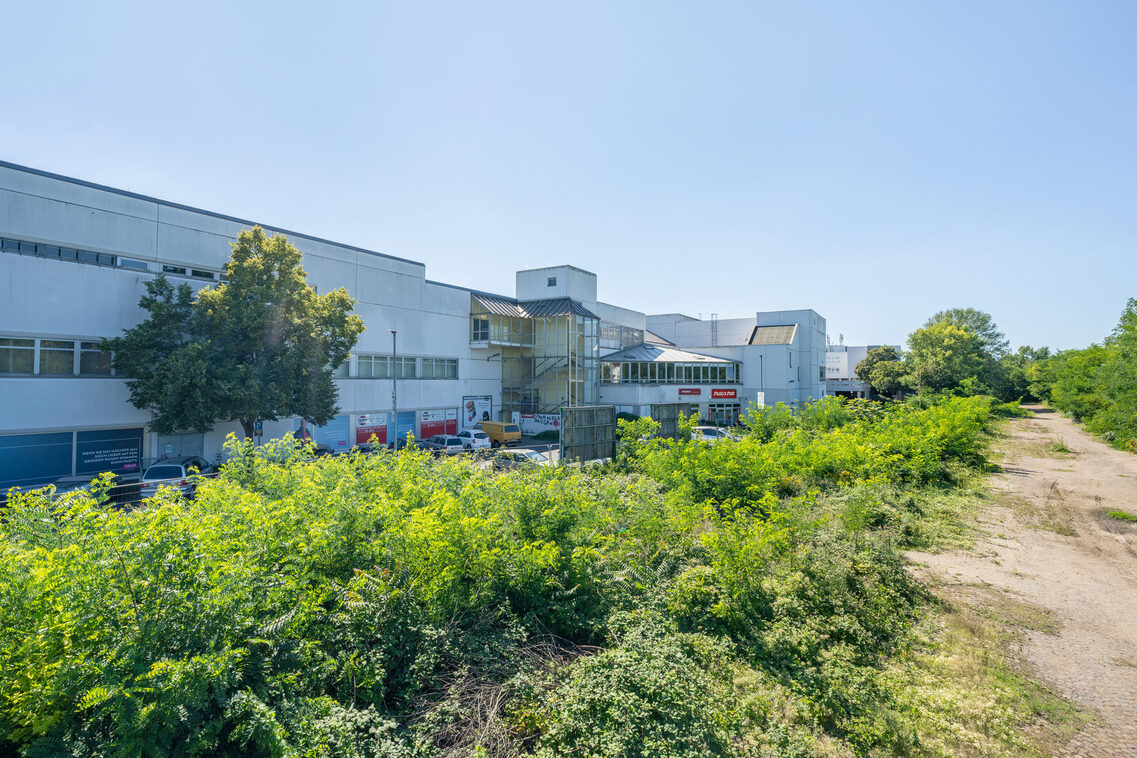 Große ungenutzte Fläche am Adler-Center.