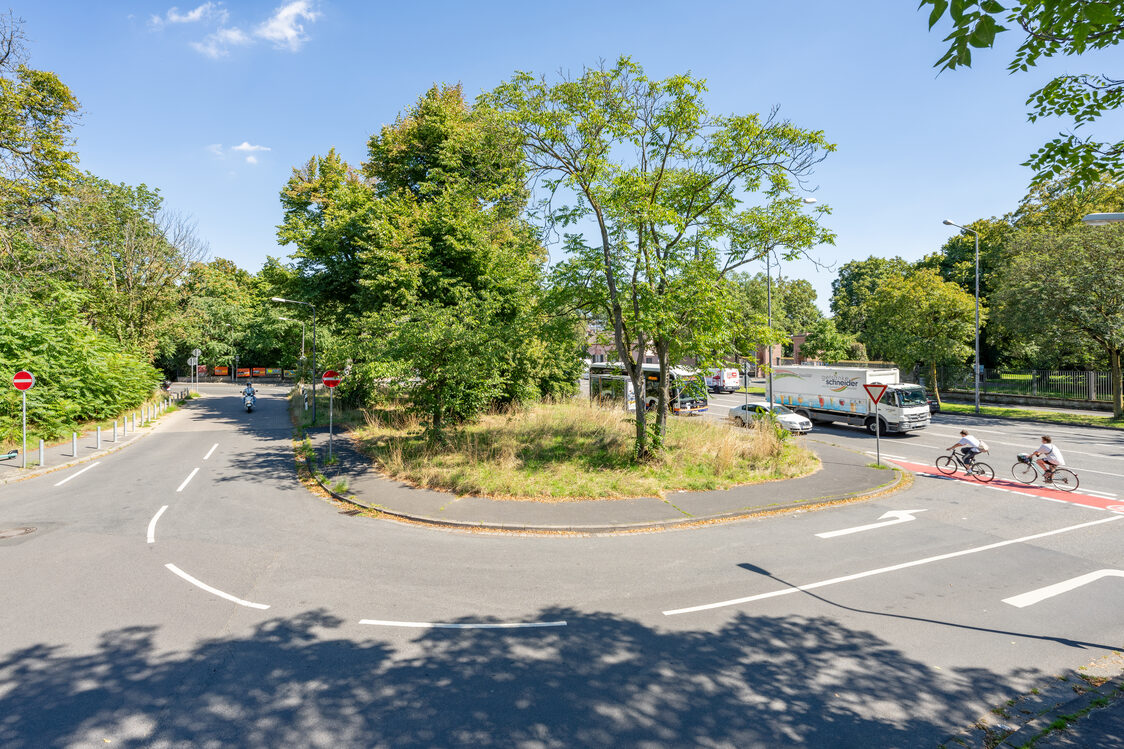 Asphalted road surfaces and overgrown green areas on Seligmann-Baer-Platz with a view of the palace park.