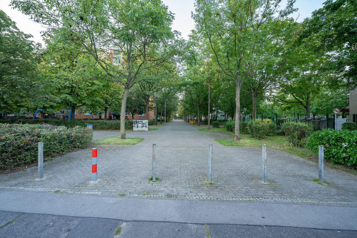 Breiter gepflasterter Fußweg mit Baumallee, mit Pollern im Vordergrund