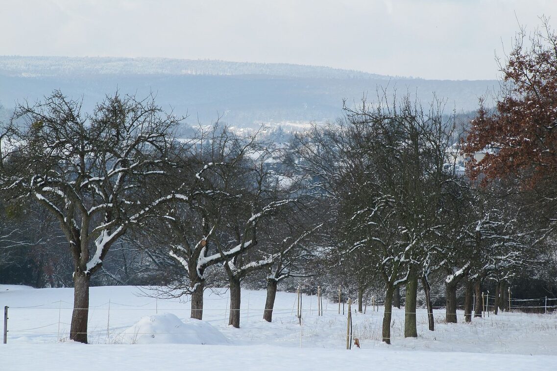 Winteransicht Medenbach