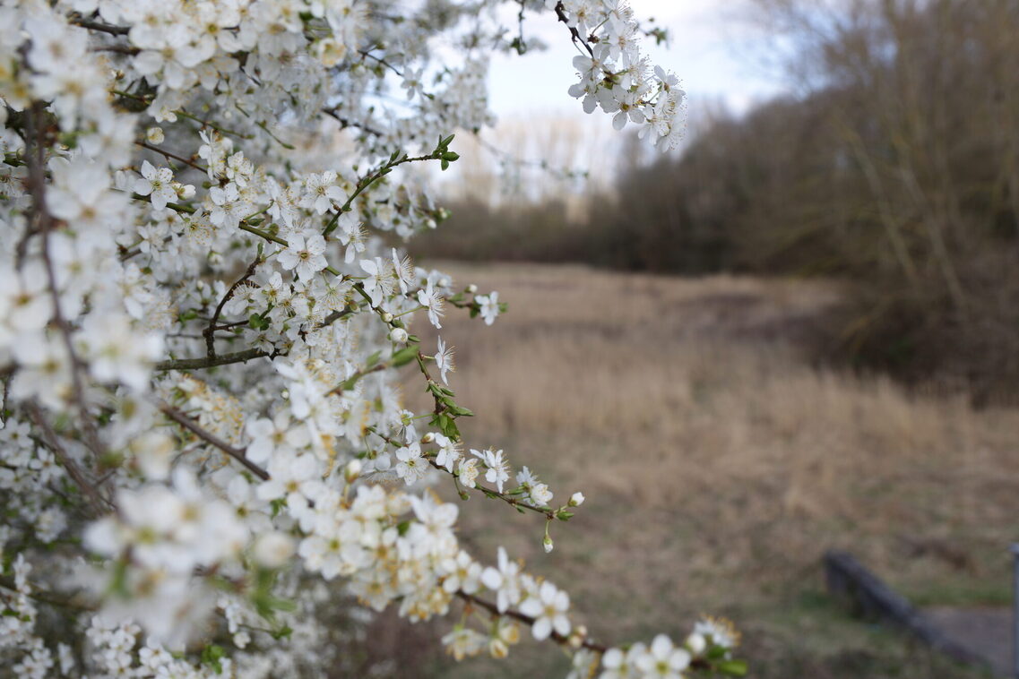 ÖKOPROFIT-Kooperation Biodiversität am Käsbach