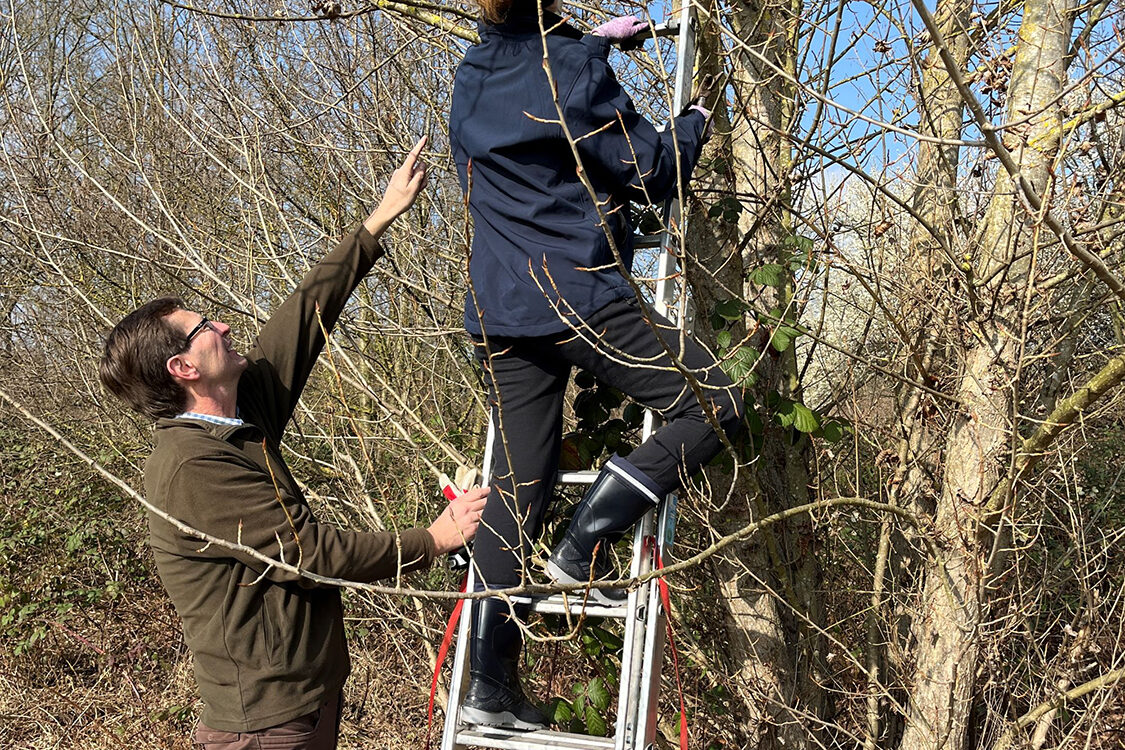 ÖKOPROFIT-Kooperation Biodiversität am Käsbach