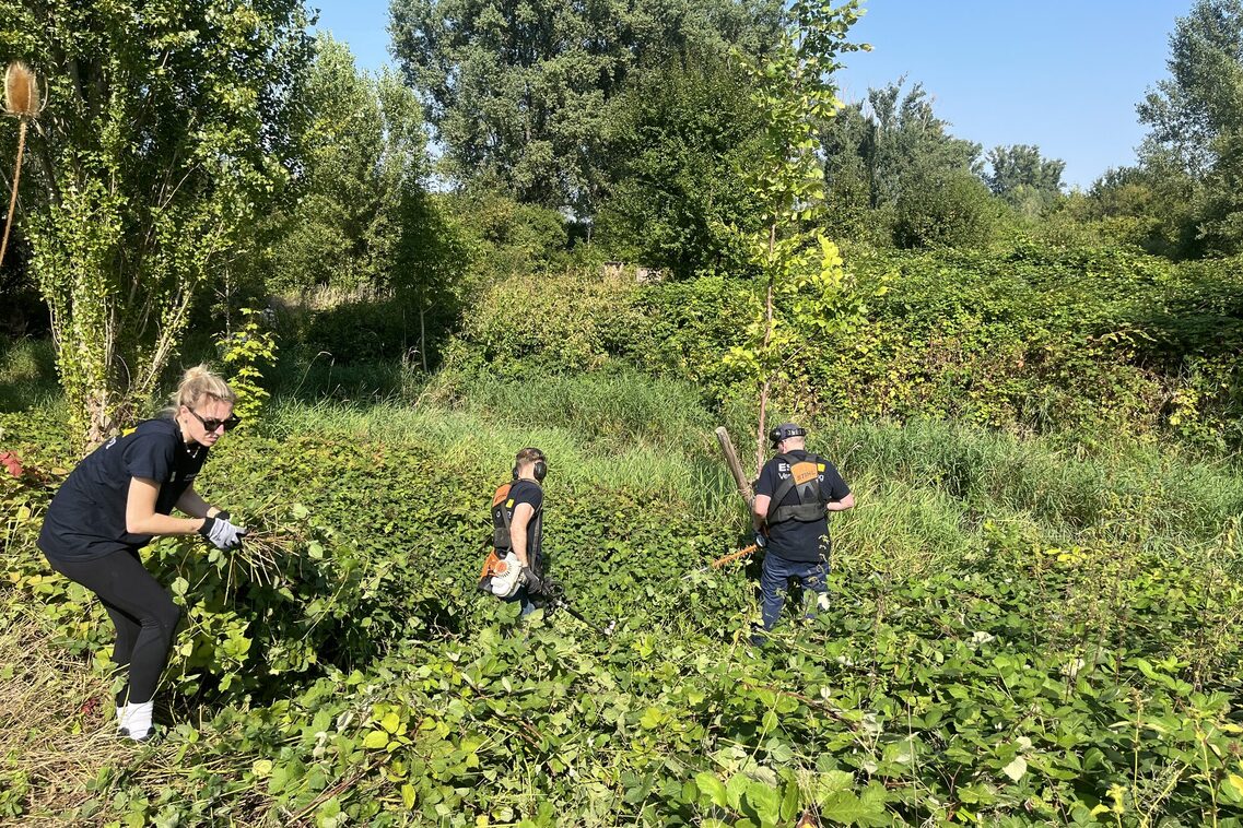 ÖKOPROFIT-Kooperation Biodiversität am Käsbach
