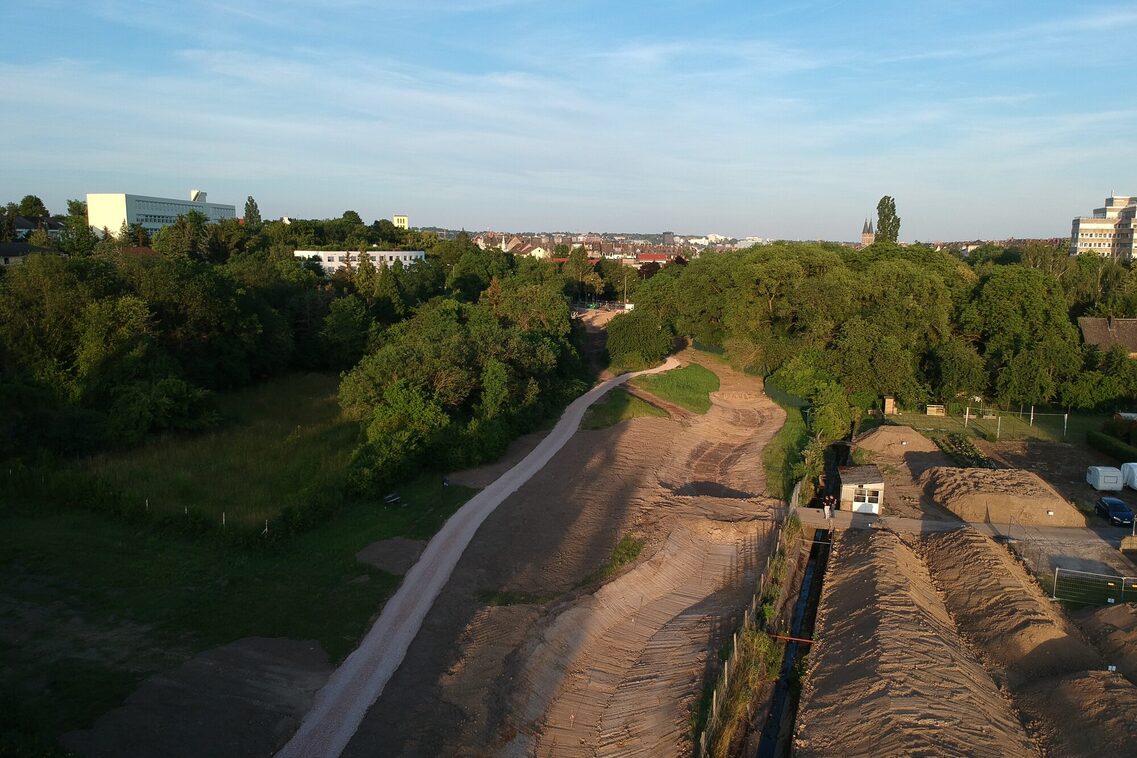 Ренатуралізація Вельріцбаху