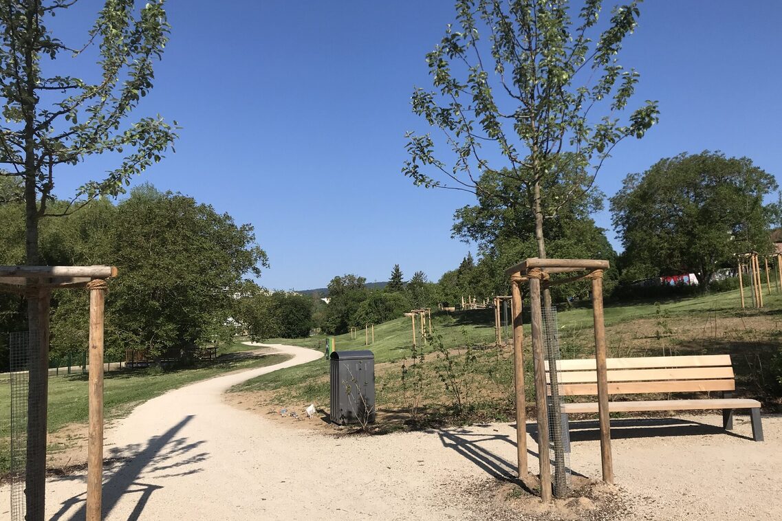 Ренатуралізація Вельріцбаху