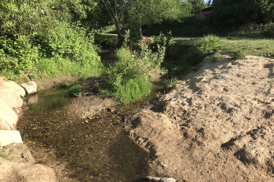 Ренатуралізація Вельріцбаху