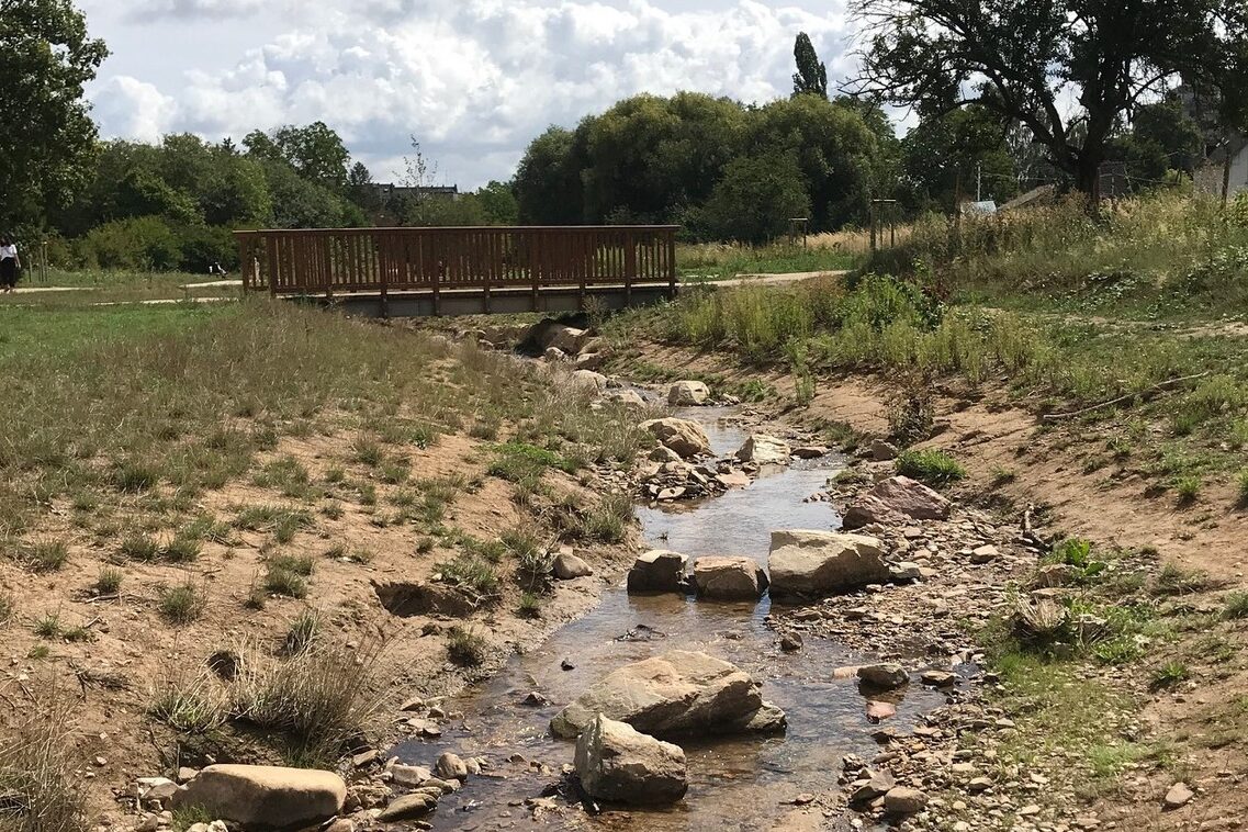 Ренатуралізація Вельріцбаху