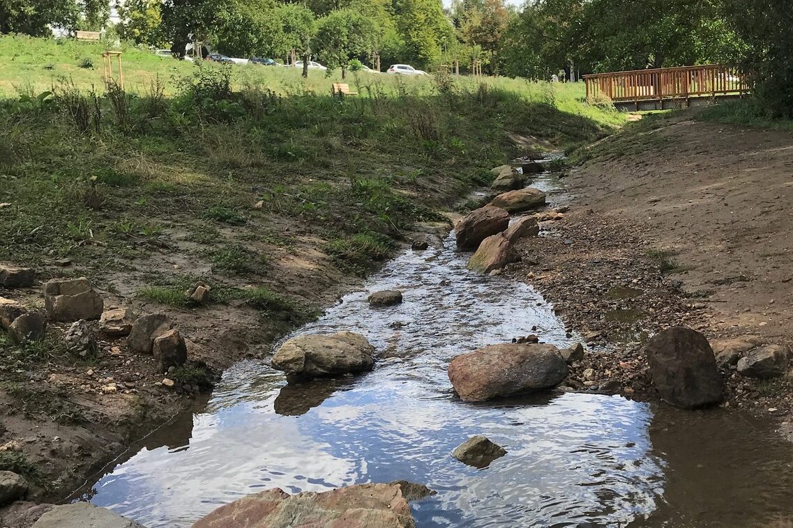 Ренатуралізація Вельріцбаху