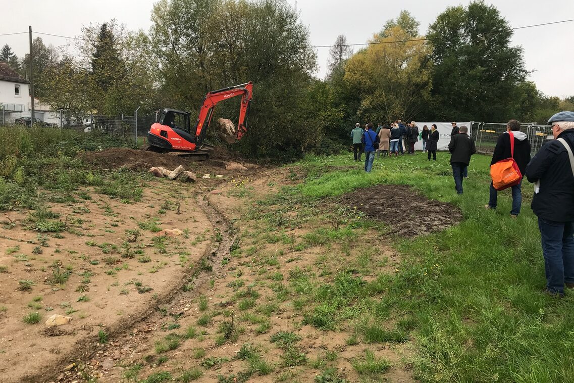 Відведення потоку Вельріцбах з Андреасом Коволем, керівником департаменту охорони навколишнього середовища