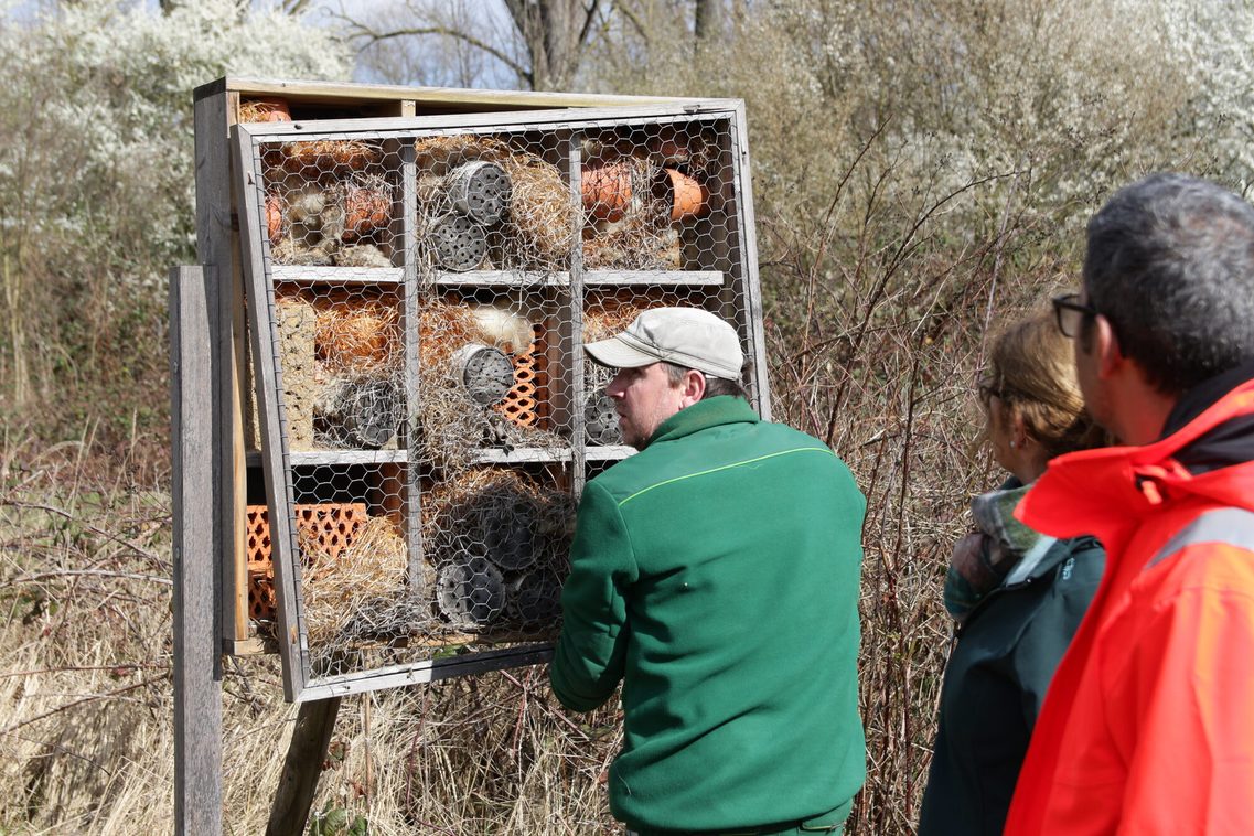 Сътрудничество с ÖKOPROFIT Биологично разнообразие в Käsbach