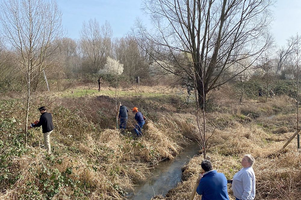 Сътрудничество с ÖKOPROFIT Биологично разнообразие в Käsbach