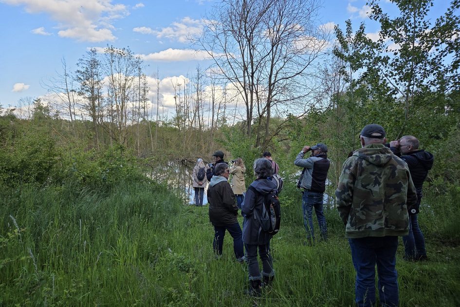 Група хора с бинокли и раници стои на поляна пред дървета и водоем под синьо небе с облаци.