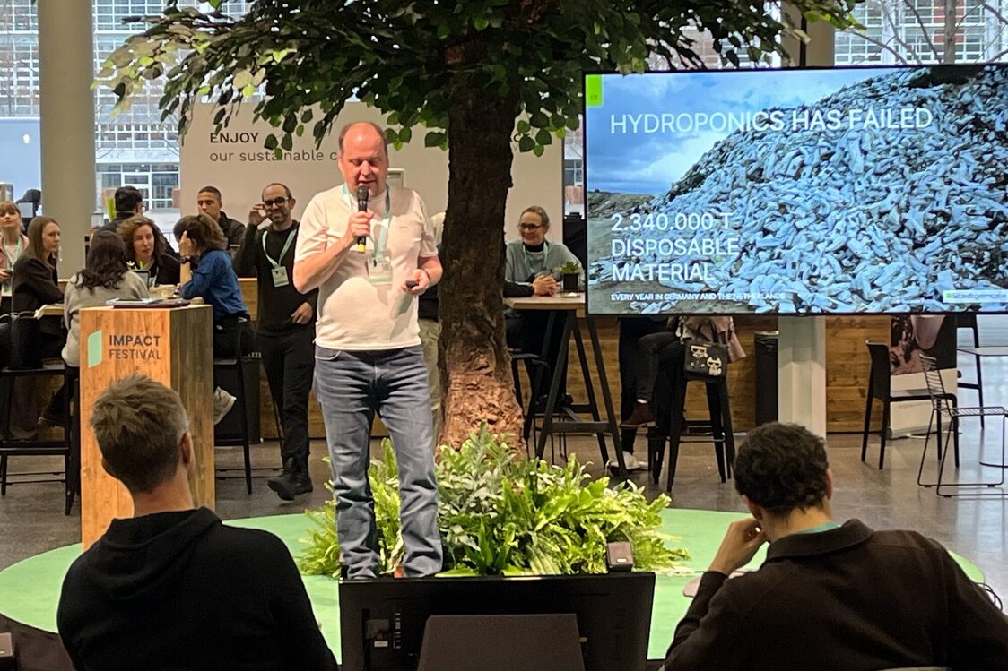 Impact Festival 2025