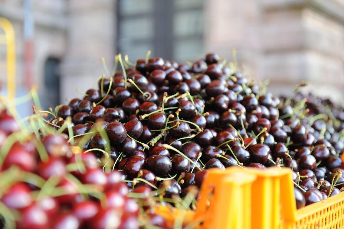 Кастаньенхоф - Вишни