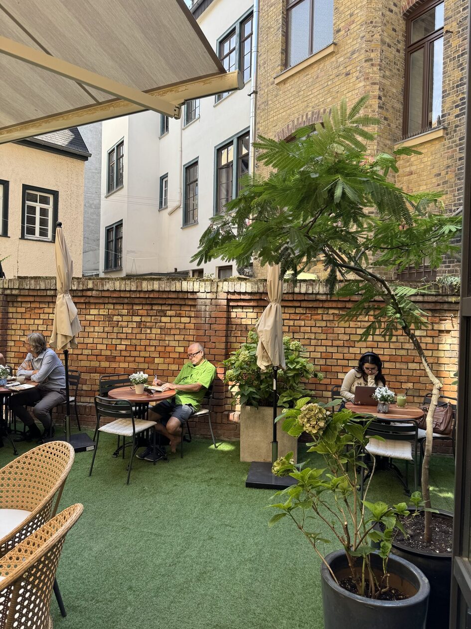 Backyard with plants