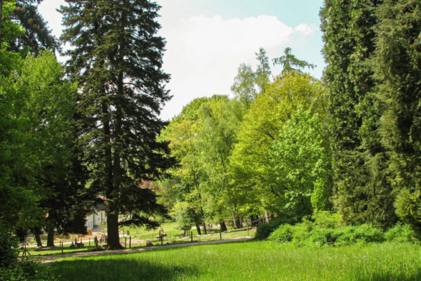 Blick in Park