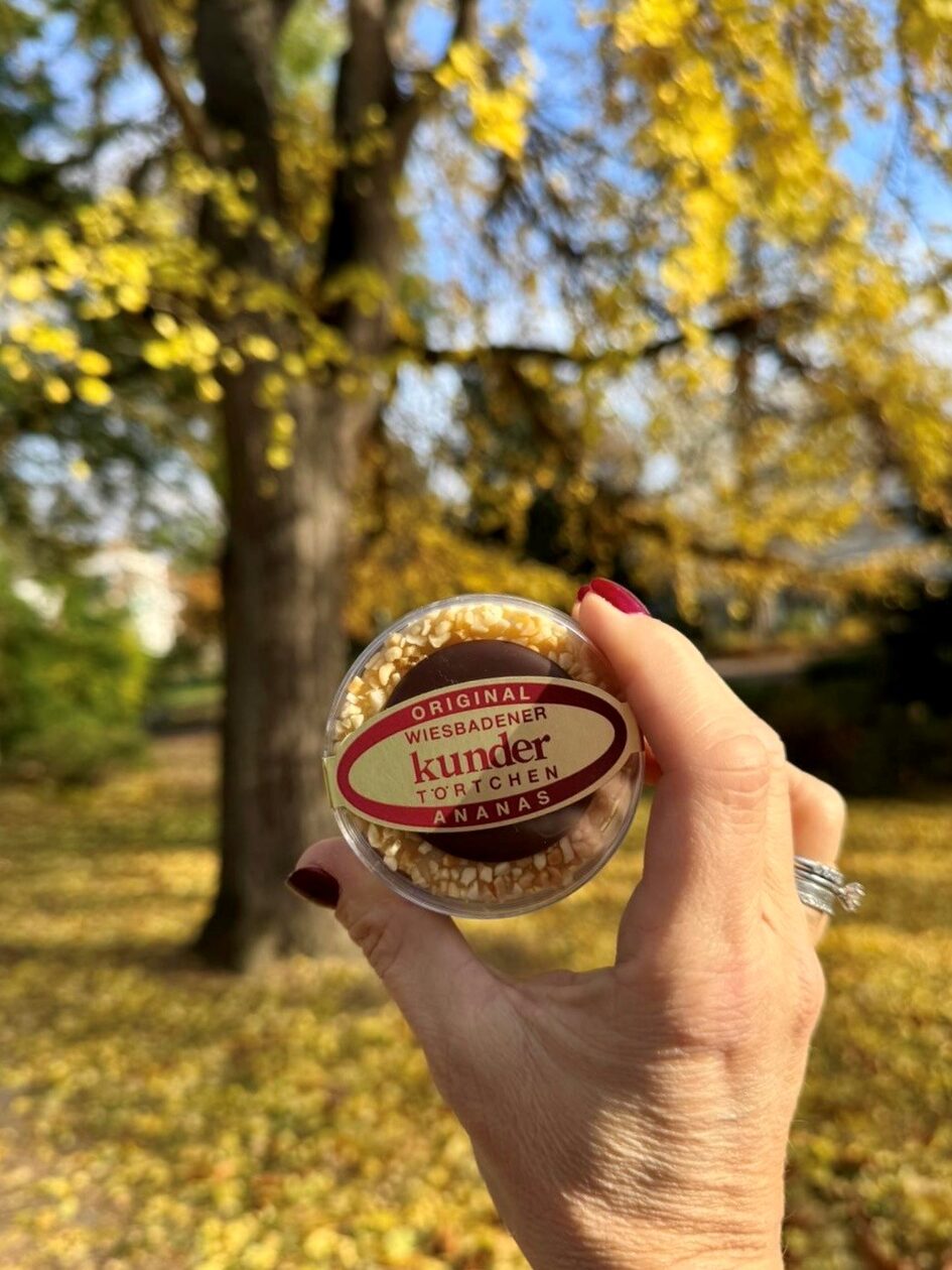 Pineapple tart in front of a tree