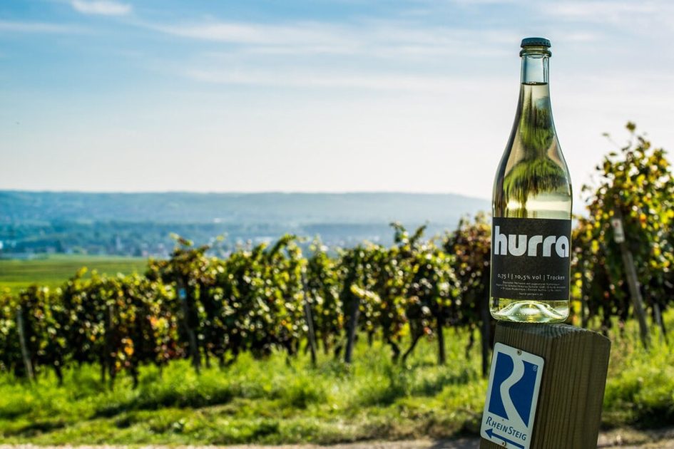 Weinflasche in den Weinbergen