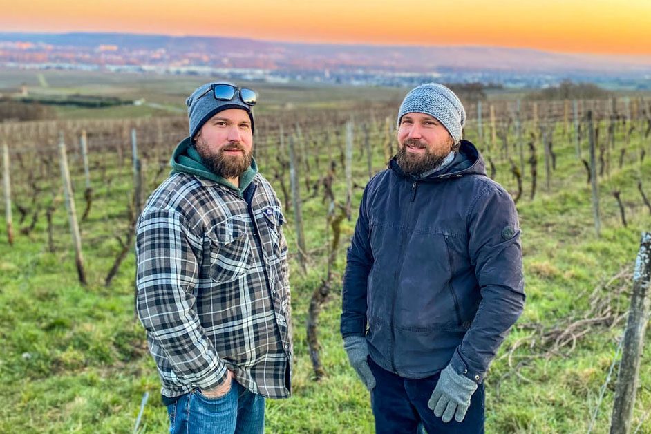 Zwillingsbrüder Jan und David Schäfer im Weinberg