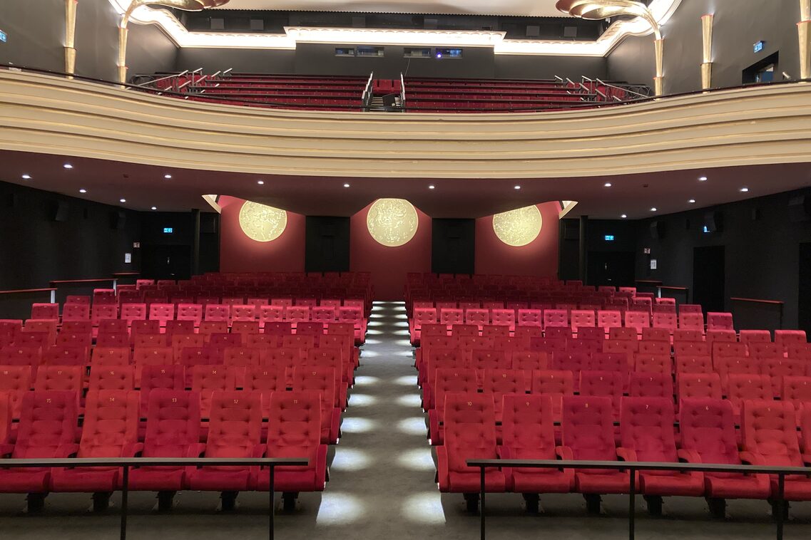 Vedere în cinematograf