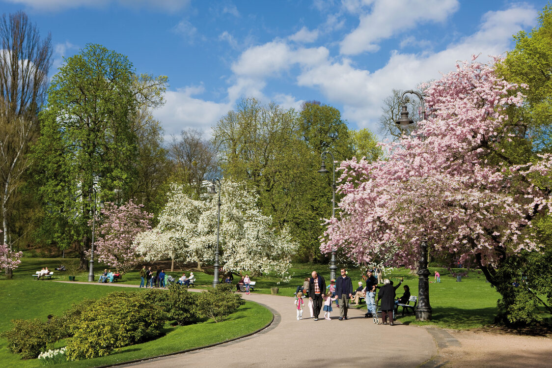 Kurpark mit Weiher