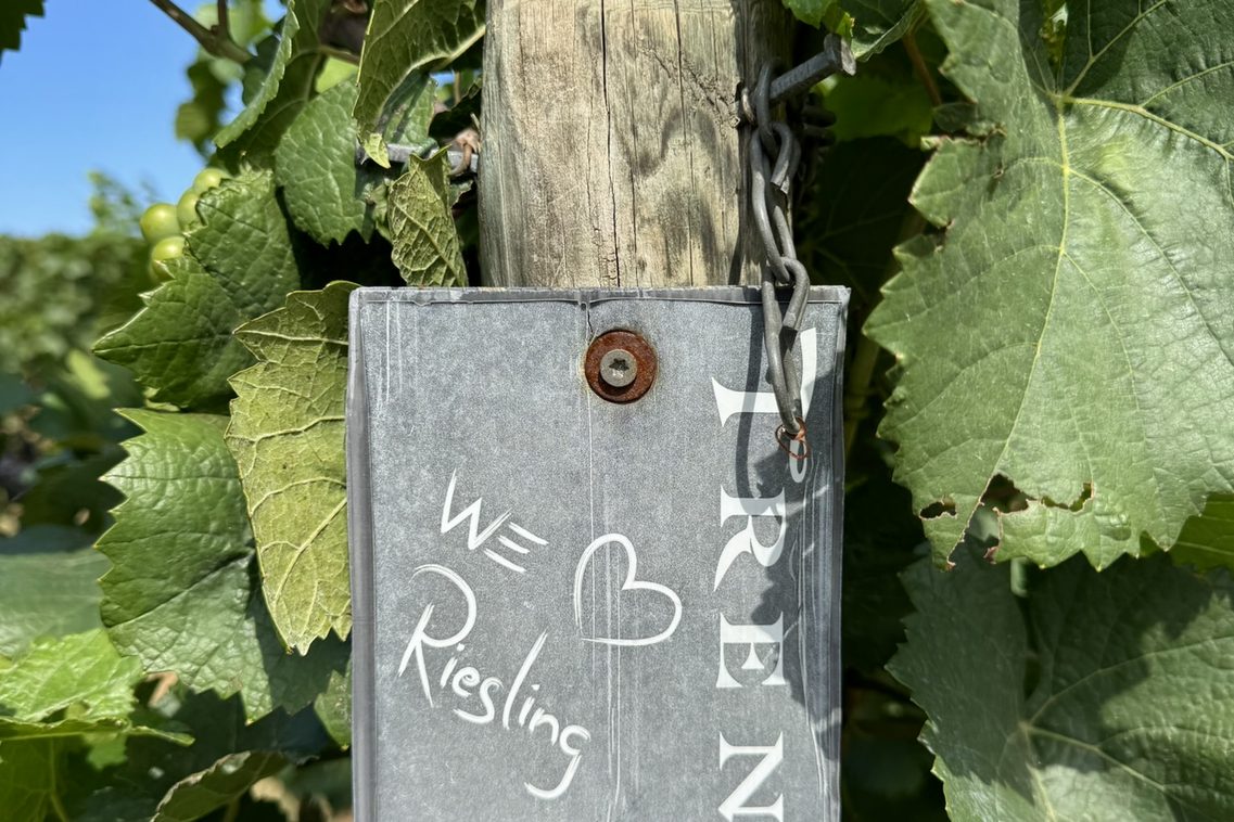 We love Riesling