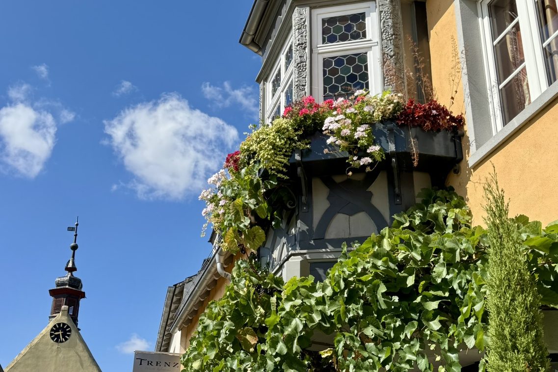 Eingang Weingut Trenz mit Türmchen