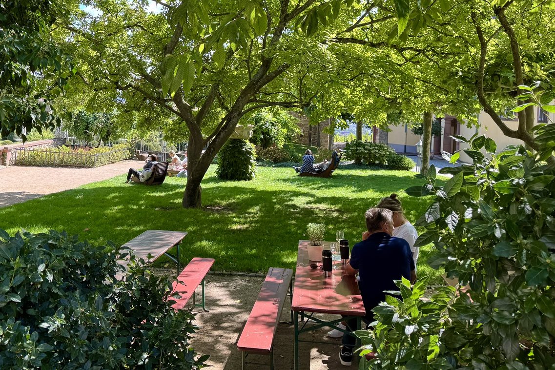 Blick auf Bänke im Park