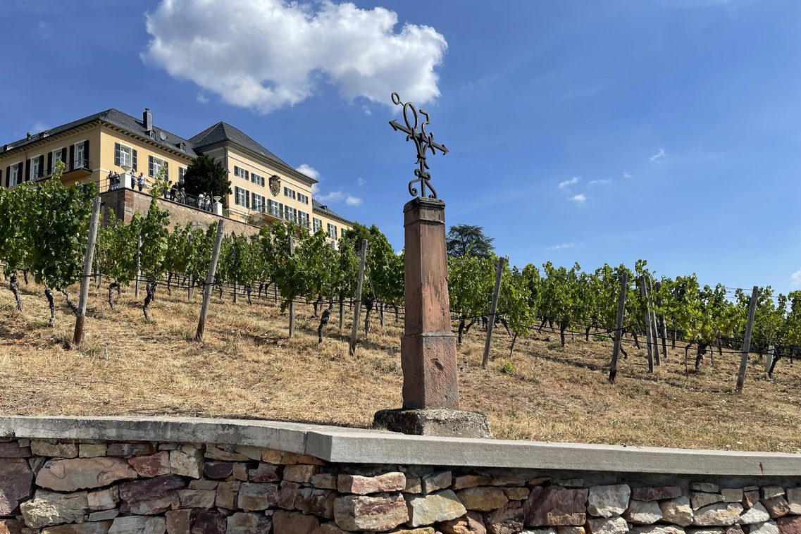 Blick auf Schloss Johannisberg