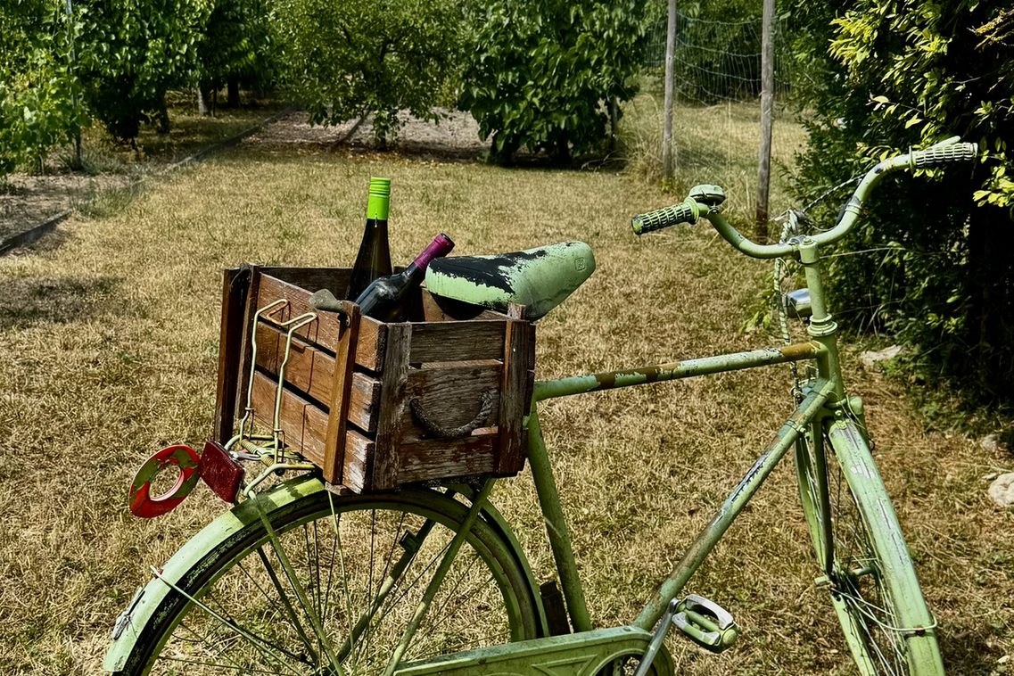Fahrrad als Kunstobjekt