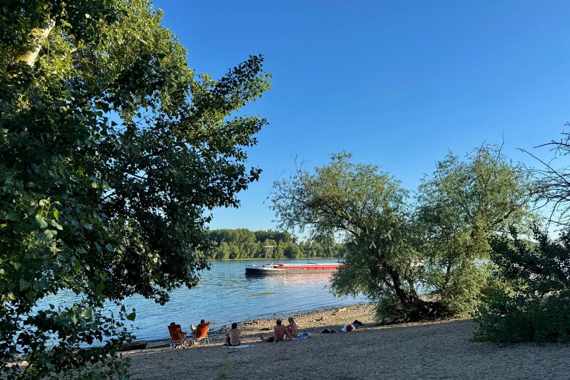 Blick auf den Rheinstrand in Walluf