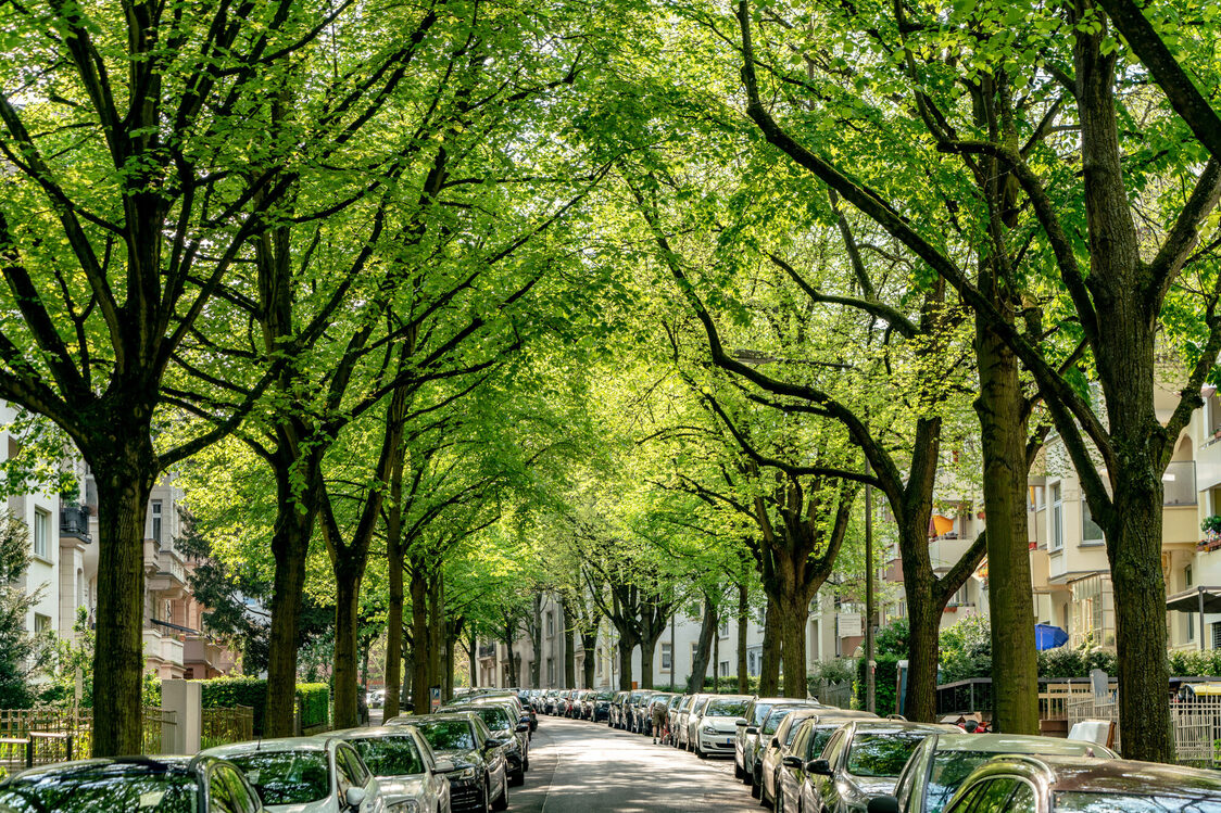Rheingauviertel