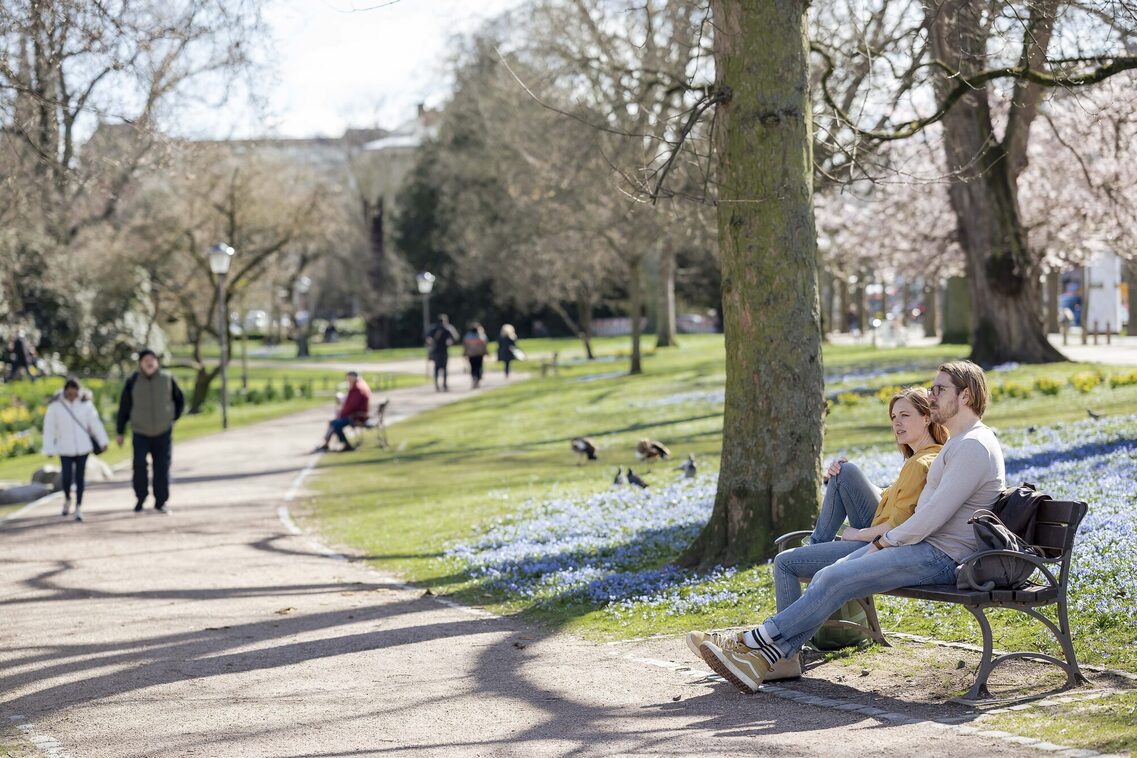 Couple in the park
