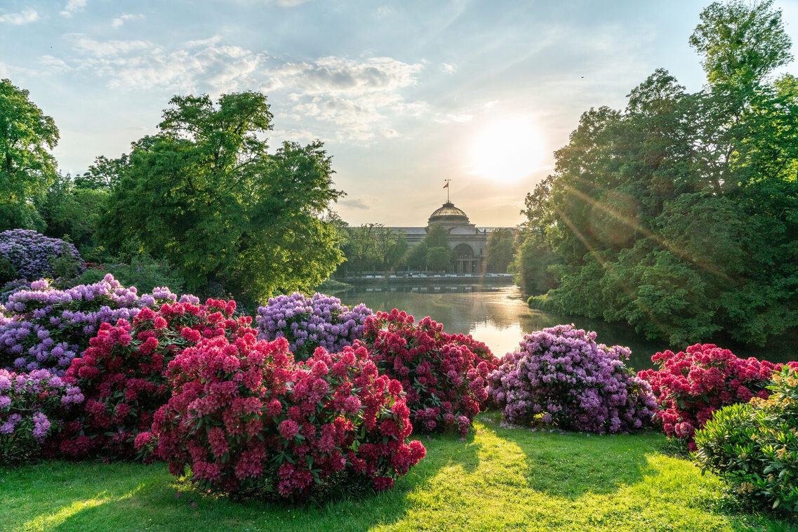 View of the Kurhaus with rhododendron bushes