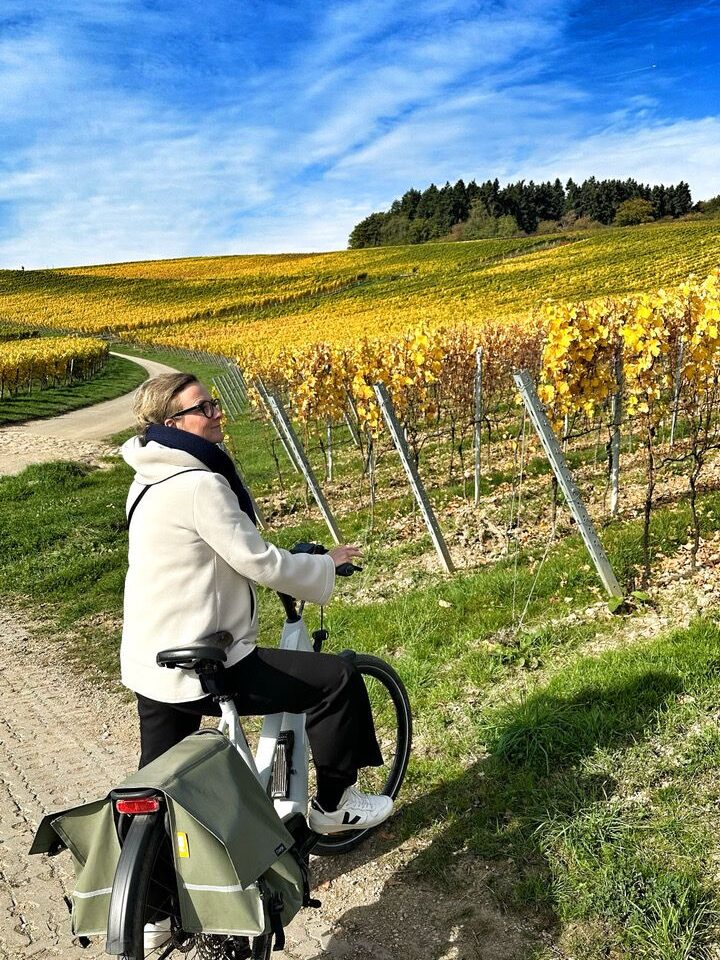 Nico en bicicleta por los viñedos