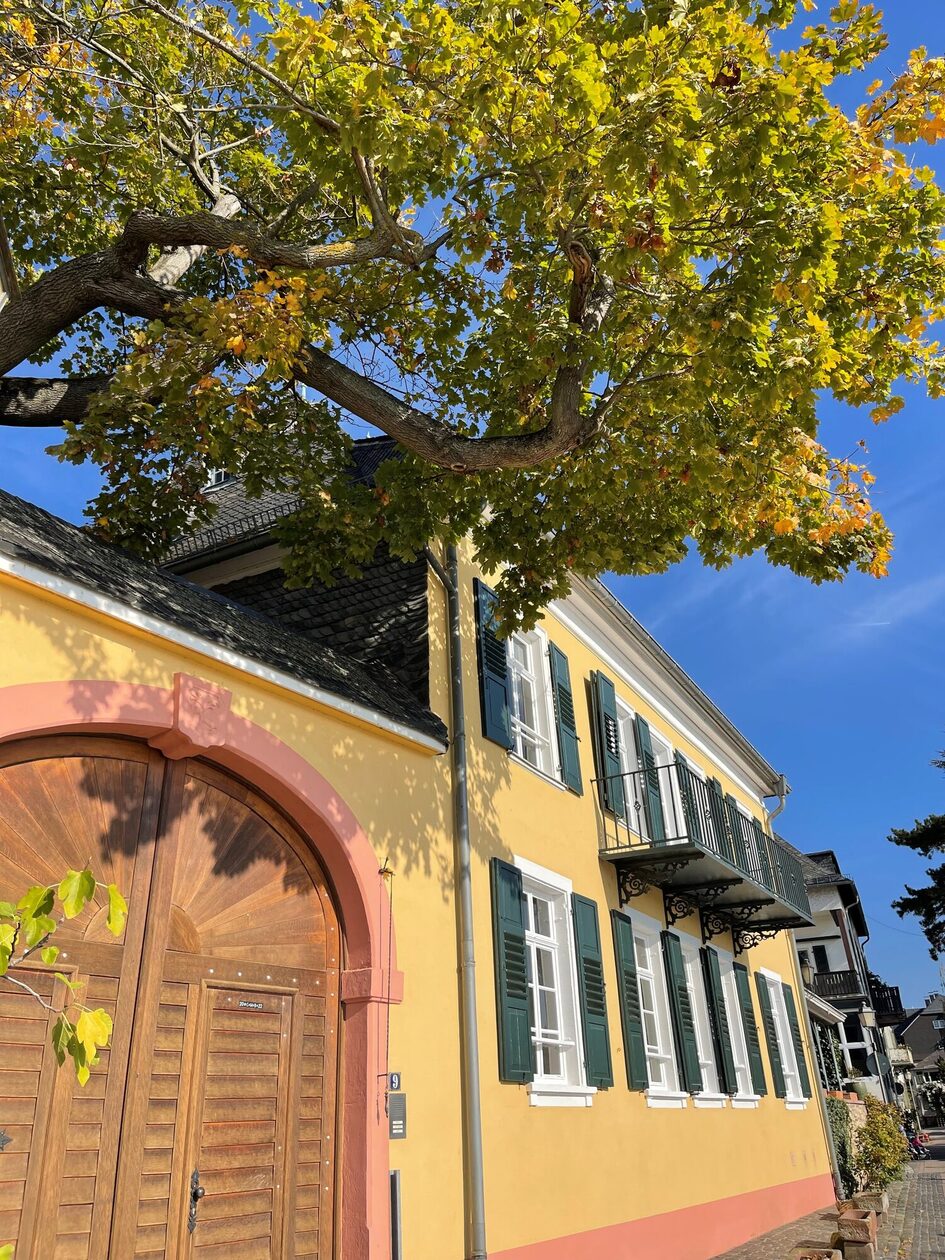 Schönes Haus am Rhein