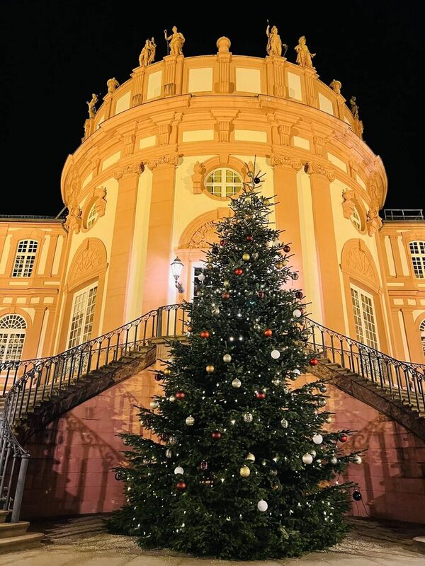 Weihnachtsbaum vorm Biebricher Schloss