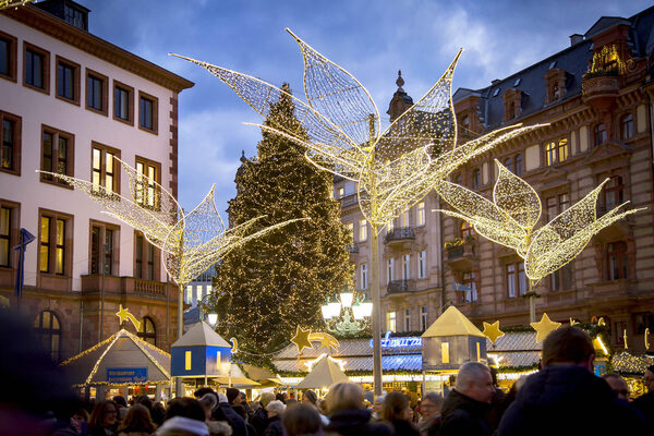 Blick auf Weihnachtsmarkt mit erleuchteten Lilien