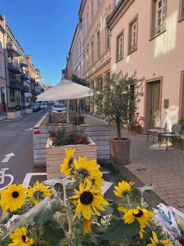 Винотека с подсолнухами