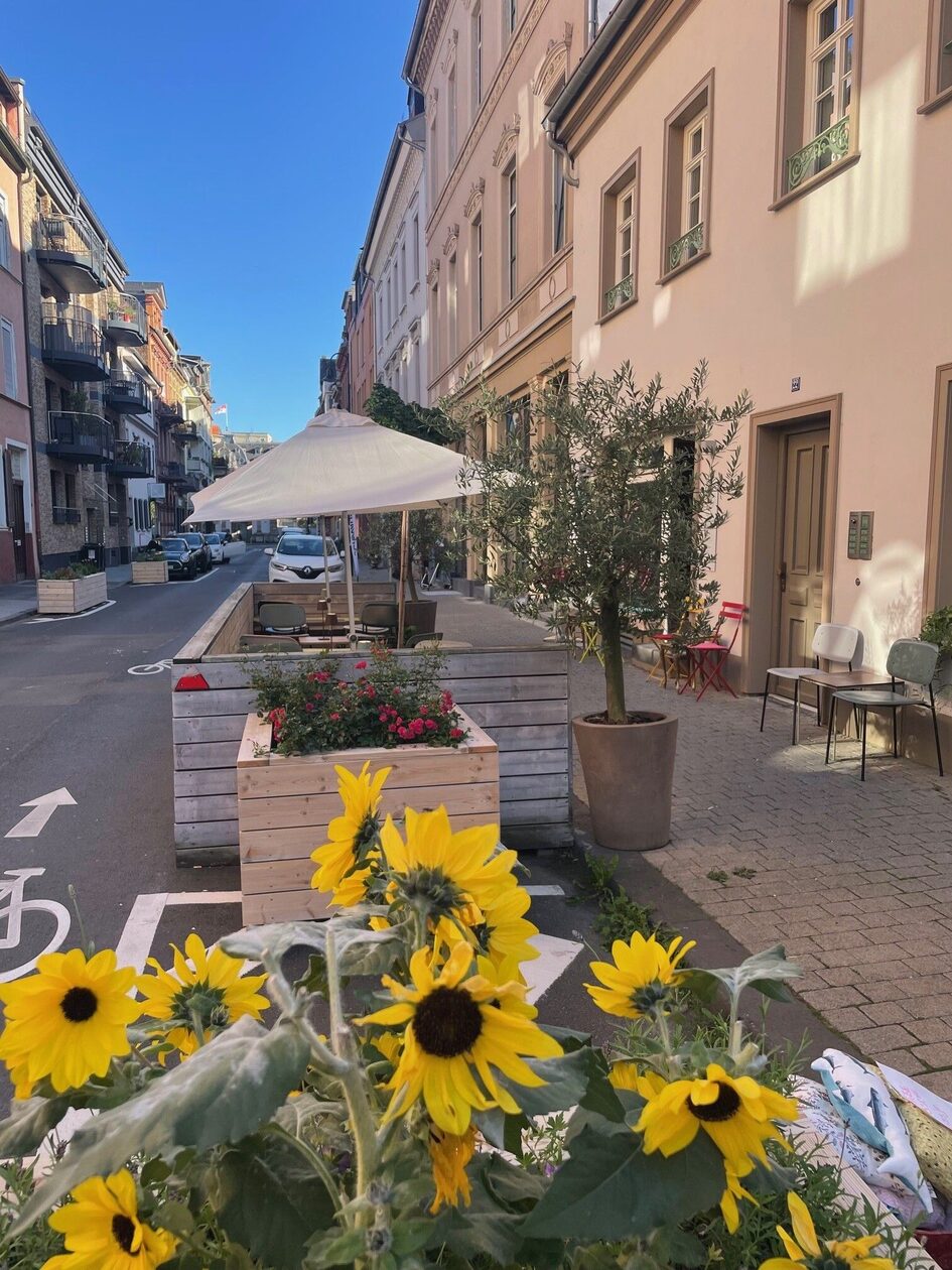 Vinotheque with sunflowers