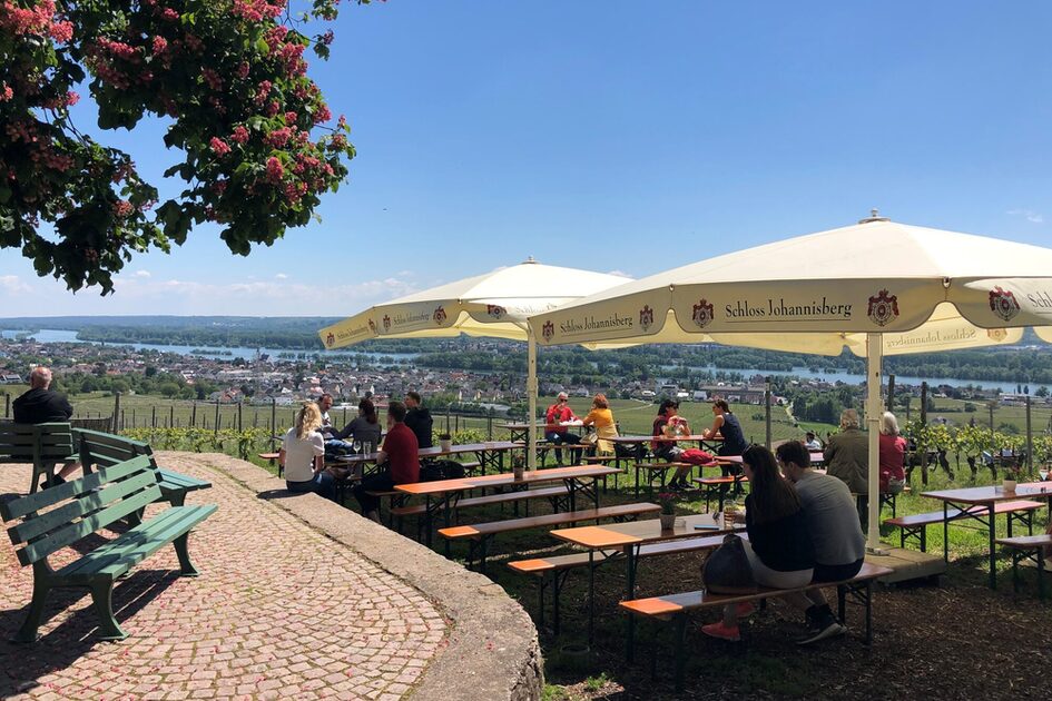 Изглед към маси за бира на лозя