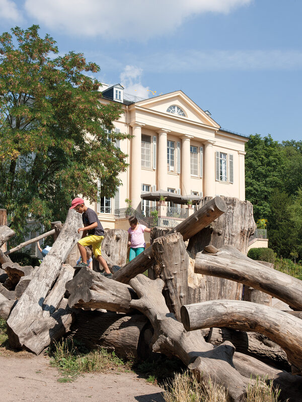 Стволы деревьев для лазания