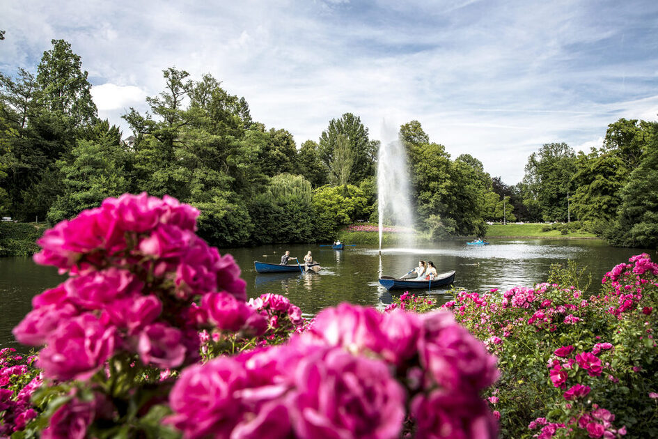 Rowing boats on the pond
