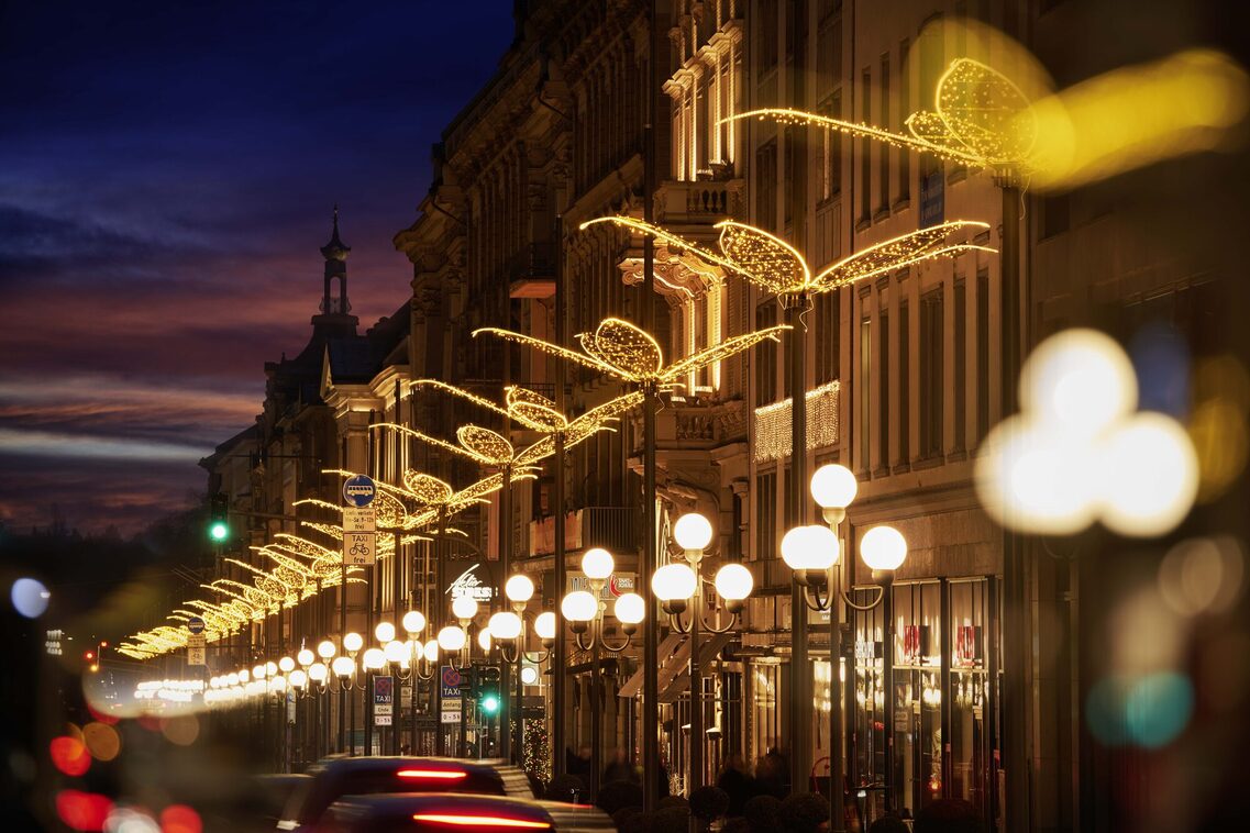 Wilhelmstraße Christmas lights